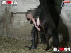 During the morning visit, the black pony gave the woman a hard fuck.
